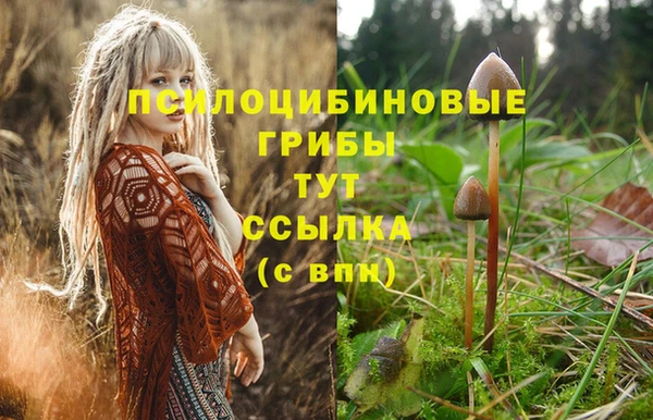 гидропоника Строитель