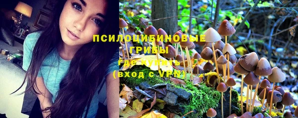 PSILOCYBIN Струнино