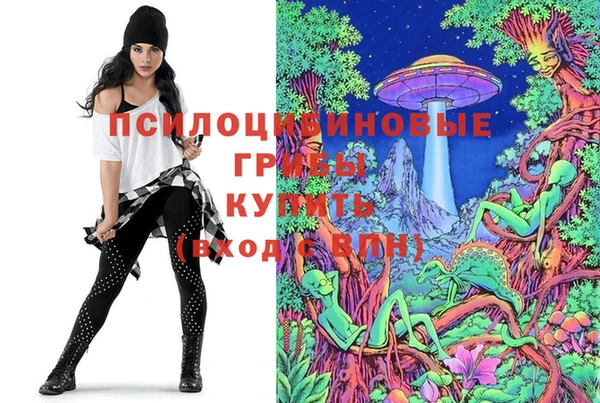 PSILOCYBIN Струнино
