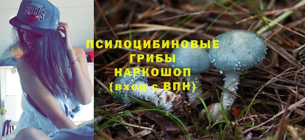 гидропоника Строитель