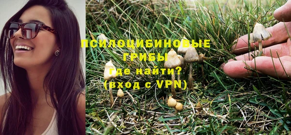 ПСИЛОЦИБИНОВЫЕ ГРИБЫ Володарск